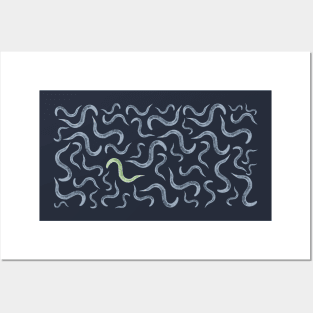 Caenorhabditis elegans Model Organism Biology Pattern Posters and Art